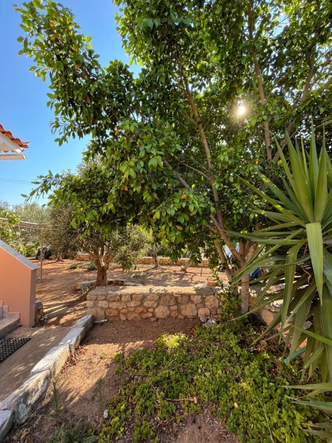 Harry'S House Apartment Elafonissos Exterior photo
