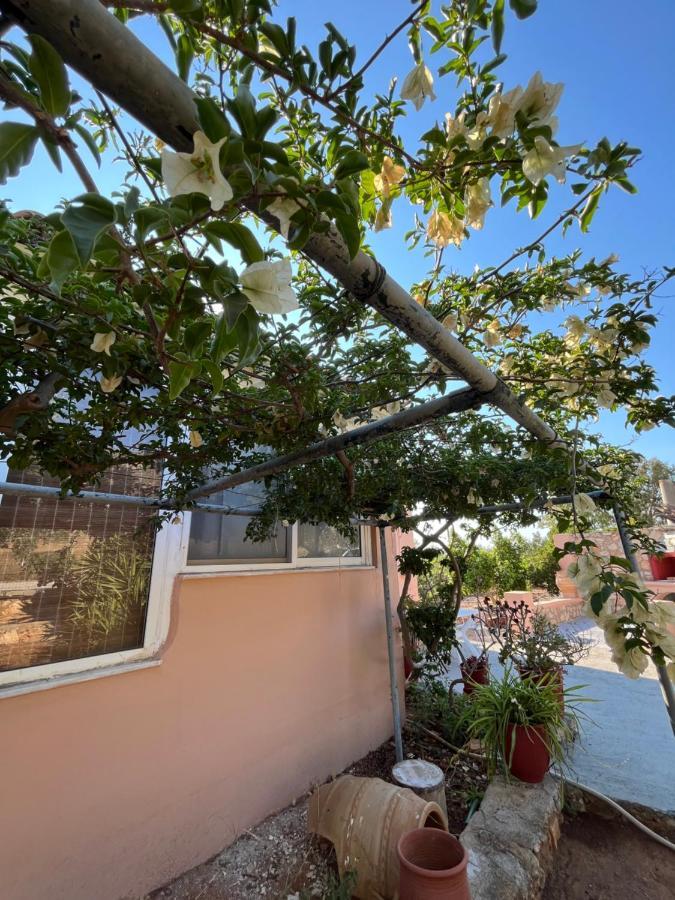 Harry'S House Apartment Elafonissos Exterior photo