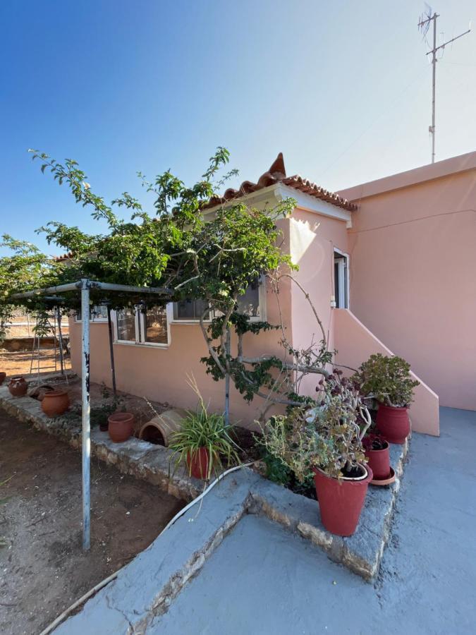 Harry'S House Apartment Elafonissos Exterior photo